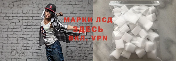 СК Пересвет