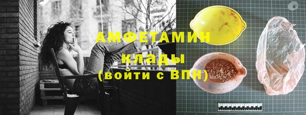 СК Пересвет