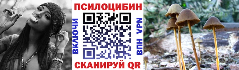 Псилоцибиновые грибы GOLDEN TEACHER  Адыгейск 